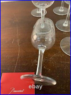 12 verres à vin gravé marguerite en cristal de Baccarat (prix à la pièce) 12 verres à vin gravé marguerite en cristal de Baccarat (prix à la pièce)