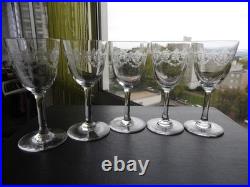 5 anciens verres à vin LUXE cristal de BACCARAT modèle BEAUHARNAIS gravure TABLE