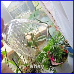 5 verres a vin ou eau en cristal de baccarat modèle écaille H 15 non signé