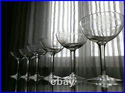 6 Anciennes Coupes A Champagne Cristal Baccarat Epoque 1920