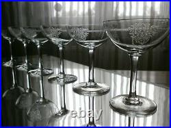 6 Anciennes Coupes A Champagne Cristal Baccarat Epoque 1920