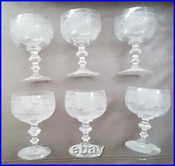 6 Anciens Verres Eau Vin Cristal Gravé À La Roue Baccarat St Louis Portieux XIX