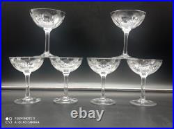 6 coupes à Champagne en Cristal de BACCARAT modèle Molière, 12,5 cm