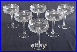 6 coupes à champagne cristal de Baccarat modèle Pompadour