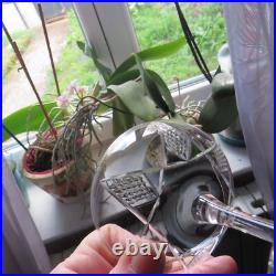 6 coupes a champagne en cristal de baccarat modèle proche a epron