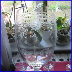 6 verres à eau en cristal de baccarat modèle gravure byzantine H 15,8 cm