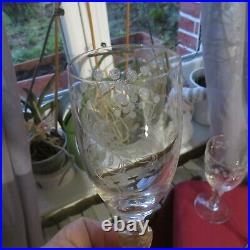 6 verres a eau en cristal gravé de baccarat décor de fleurs de mimosa