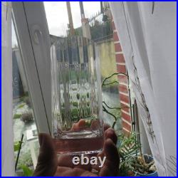 6 verres a orangeade en cristal de baccarat modèle Capri ou Montaigne signé H 14