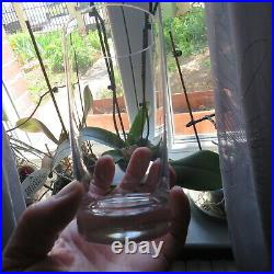 6 verres à orangeade en cristal de baccarat modèle perfection signé H 14 cm