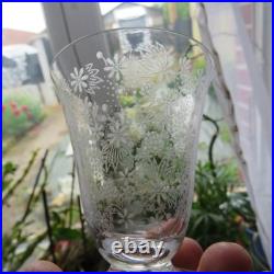 6 verres a porto en cristal de baccarat modèle Elisabeth millefiori signé H 7,4