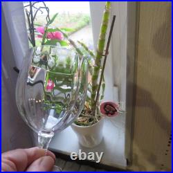 6 verres a vin blanc cristal de baccarat modèle Montaigne optique optic H 12,5 6 verres a vin blanc cristal de baccarat modèle Montaigne optique optic H 12,5