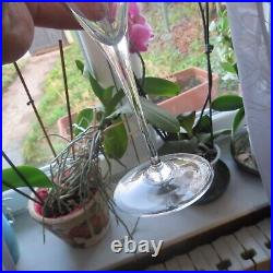 6 verres a vin blanc en cristal de baccarat modèle saint Remy signé H 17,4 cm