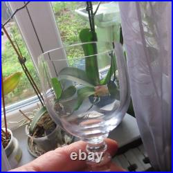 6 verres a vin en cristal de Baccarat modèle Géranium H 11,5 cm signé L 2 6 verres a vin en cristal de Baccarat modèle Géranium H 11,5 cm signé L 2