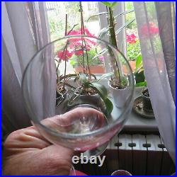 6 verres a vin en cristal de baccarat modèle saint remy signé H 17,5 cm