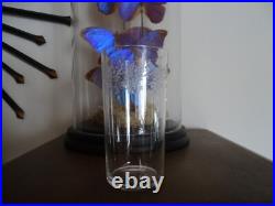 6 verres eau orangeade cristal BACCARAT SEVIGNE gravés anciens 12 cm