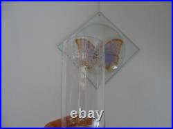 6 verres eau orangeade cristal BACCARAT SEVIGNE gravés anciens 12 cm