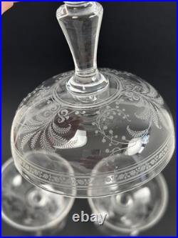 BACCARAT Lot de 3 Coupes à Champagne en Cristal Gravé Modèle Fougères