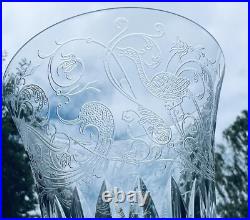 Baccarat Bologne Birds Wine Glass Verre A Vin Cristal Gravé Oiseaux Parme B