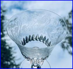 Baccarat Bologne Birds Wine Glass Verre A Vin Cristal Gravé Oiseaux Parme B Baccarat Bologne Birds Wine Glass Verre A Vin Cristal Gravé Oiseaux Parme B