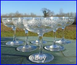 Baccarat Service de 6 coupes à champagne en cristal, modèle Sévigné