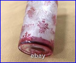 Gobelet en cristal gravé à l'acide BACCARAT décor de chardons NANCY 8,8 cm Verre