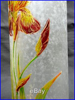 Joli et rare vase BACCARAT 1900, gravé à l'acide iris, era daum galle
