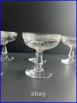 Lot de 6 Coupe À Champagne en Cristal Baccarat Modelé Fougères