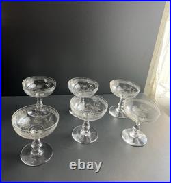 Lot de 6 Coupe À Champagne en Cristal Baccarat Modelé Fougères