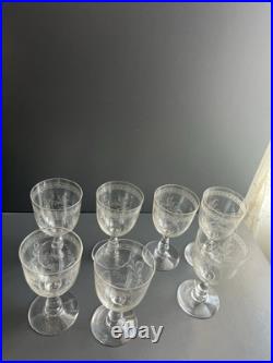 Lot de 7 Verres a Eau en Cristal Baccarat Modelé Fougères