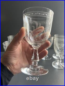 Lot de 7 Verres a Eau en Cristal Baccarat Modelé Fougères