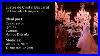 Lustre_Baccarat_Para_Eventos_De_Cristal_Candelabro_36_L_Mpadas_Transparente_01_enqs