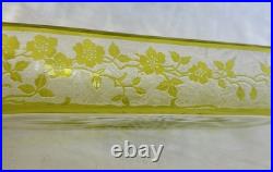 Porte Peignes Brosses En Cristal De Baccarat Eglantier Couleur Anis