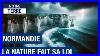 Risque_De_Submersion_Marine_En_Normandie_Des_Enjeux_Forts_Documentaire_Environnement_Hd_Amp_01_xf