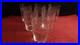 Serie_de_6_gobelets_en_cristal_de_Baccarat_a_decor_de_roses_gravees_01_uf