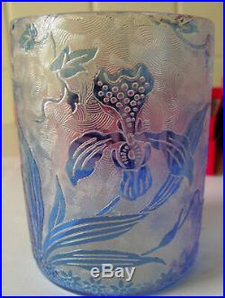 Verre Baccarat 19eme Degage A L Acide Motif Iris Cristal Art Nouveau Bicolore