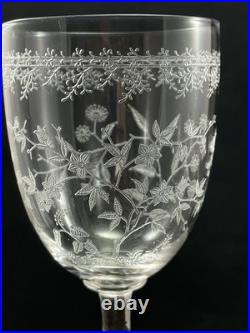 Verres à eau cristal Baccarat fleurs papillons Crystal glasses