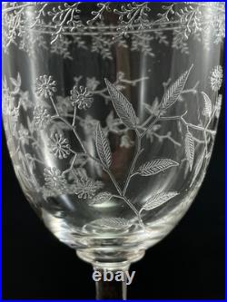Verres à eau cristal Baccarat fleurs papillons Crystal glasses
